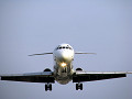 20080405_0087_smn.jpg