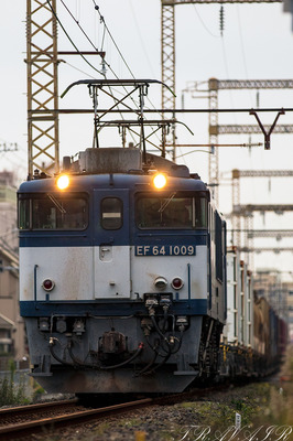 EF64-1009