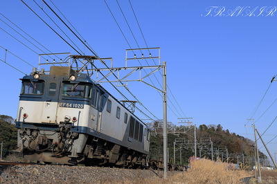 EF64-1020