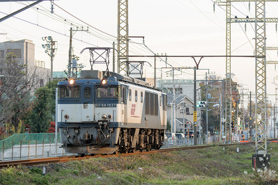 EF64-1037