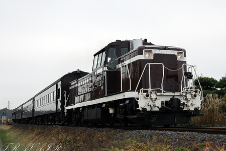 DE10-1705