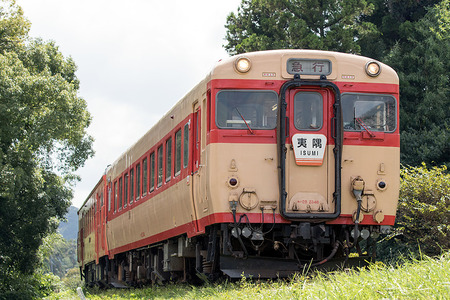 Ln28