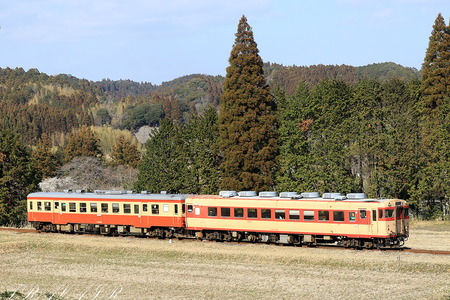 Ln28-2346
