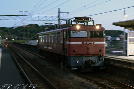 EF81-403