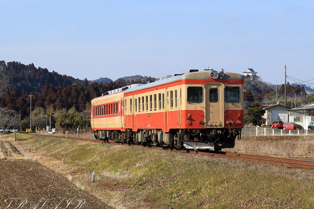 Ln52-125
