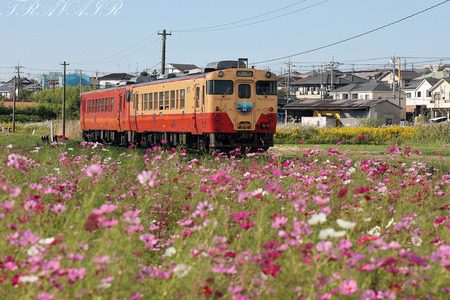 キハ40(小湊鐵道）