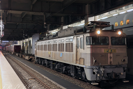 EF81-303