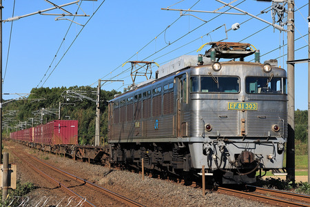 EF81-303