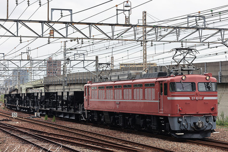 EF81-81