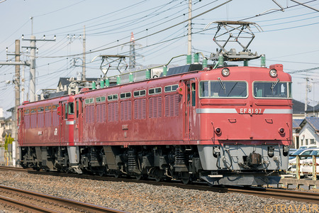 EF81-97