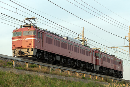 EF81-97