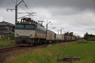 EF81-501