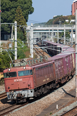 EF81-301