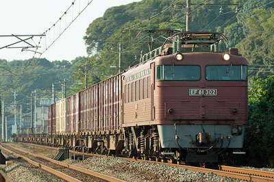 EF81-302