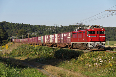 ED75-1008