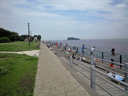 横須賀釣り公園